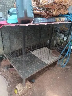 Dog Cage