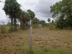 Land for Sale in Nelukkulam Vavuniya