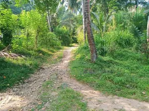 Land with House for Sale - Badulla