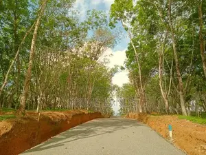 Land අහංගම සංචාරක කලාපයට ආසන්නව