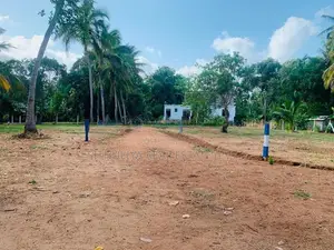 අනුරාධපුර බිම් කොටස්