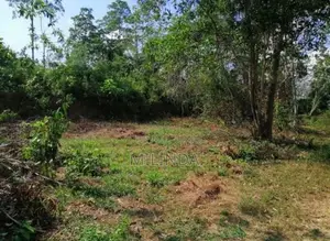 මාතර - කිරිමැටිමුල්ලේ වටිනා නේවාසික ඉඩමක් විකිණීමට