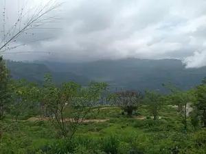 Land for Sale Pundaluoya