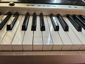 Casio Privia PX-120 Piano
