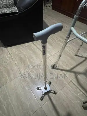 Walking Stick