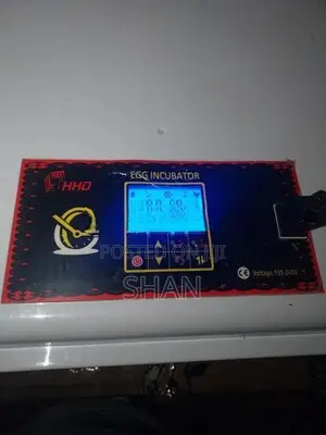 Egg Incubator Machine