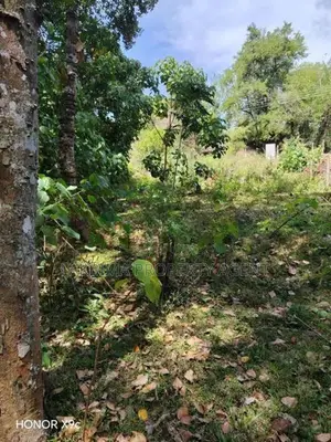 Land for Sale in Kandy Digana