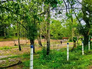 Koggala සoචාරක පුරවරයෙන් මඩොල් දුව වැවට මුහුණලා විකිණීමට අගනා බිම් කොට