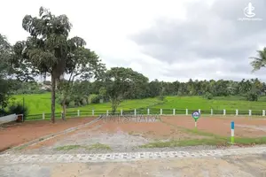 මාතර ප්‍රධාන මර්ගයෙන් වෙල් යායකට මුහුණලා ඉඩම