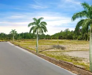 Valuable Land for Sale Minuwangoda