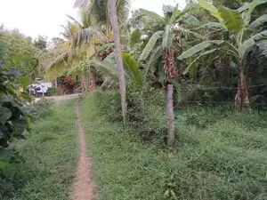 Land in Kadawatha Imbulgoda Plot 08