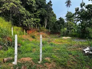 නිට්ටඹුවේ වටිනා නේවාසික ඉඩමක් විකිණීමට