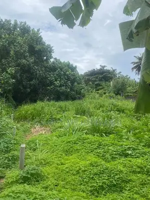 50 Perch Land for Sale Kirinda Hakmana