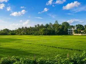 Valuable Land for Sale in Kahathuduwa