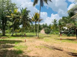 පොතුහැර ටවුමට ලග තැනක්