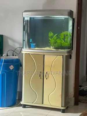 Fish Tank with Accessories