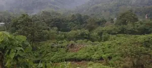 Land for Sale in Nuwara Eliya