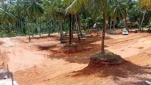 Luxury Land for Sale in Kandana – Batagama