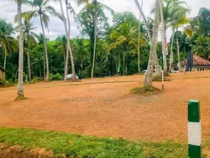 Valuable Land for Sale in Horana Kubuka