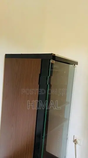 Pioneer Sterio Setup Show Case