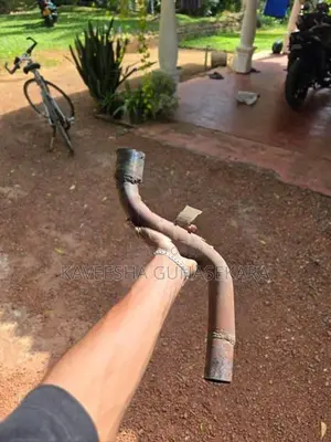 Akrapovic Exhaust Bajaj Pulsar N160