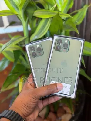 Apple iPhone 13 Pro 256GB (Used)
