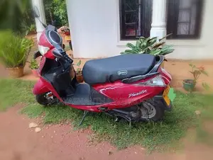Hero Pleasure 2014