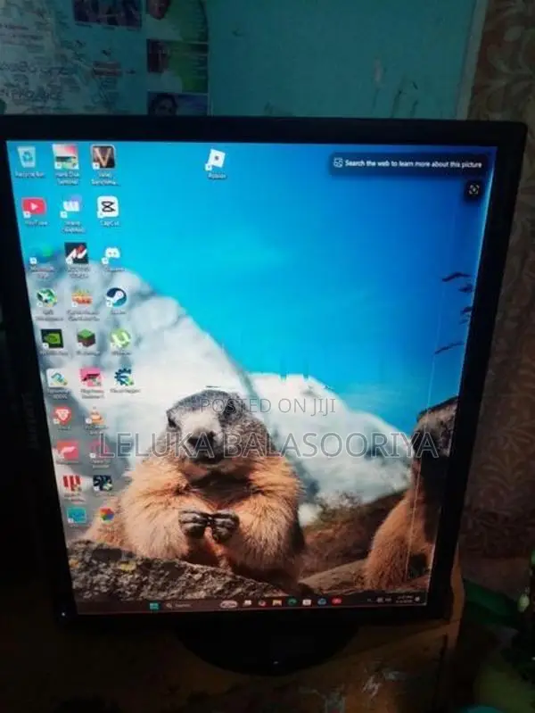 19 Inch LCD Square Monitor