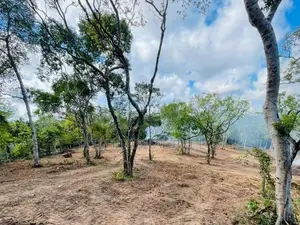 talalla / Dickwella Beach Side Land Sale