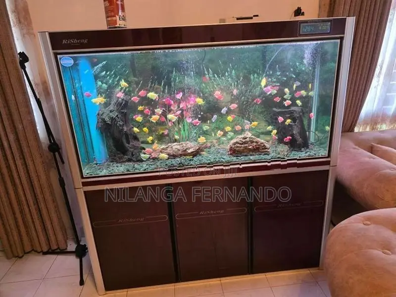 5 feet Imported fish tank
