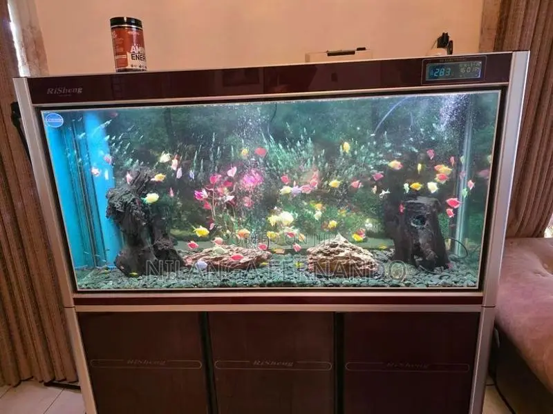5 feet Imported fish tank