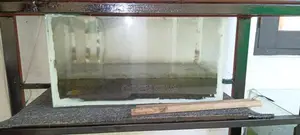 Fish Tank