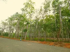 අහංගම සංචාරක කලාපයට ආසන්නව