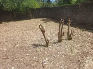 Land for Sale Maharagama