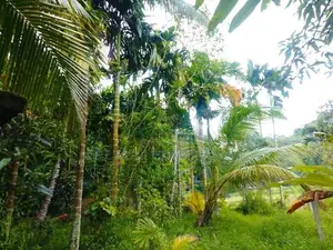 20 Perches Land Sale @Pilimathalawa