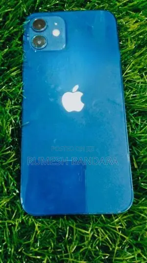 Apple iPhone 12 Blue Japan (Used)