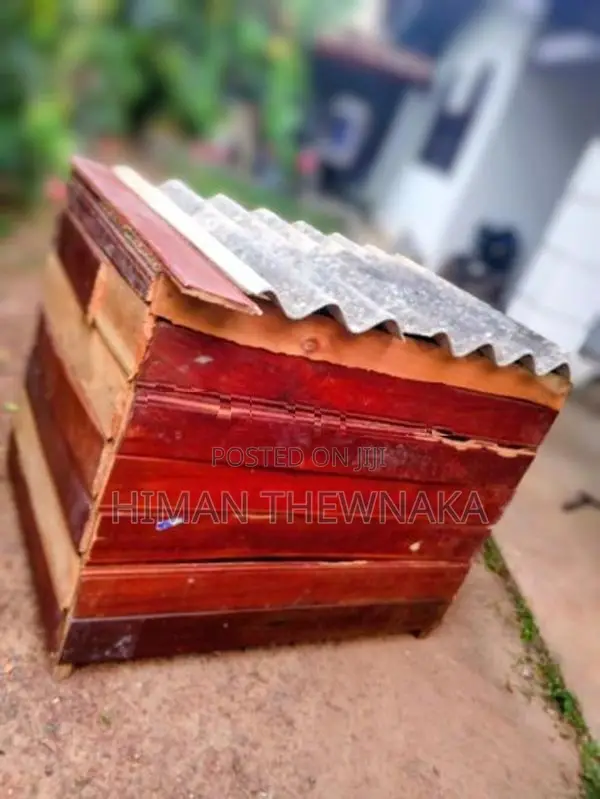Dog House