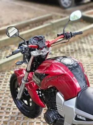 Yamaha FZS V1 2010