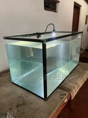 Glass Fish Tank