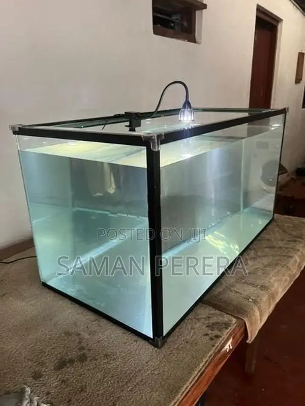 Glass Fish Tank
