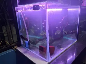 Aquarium Set