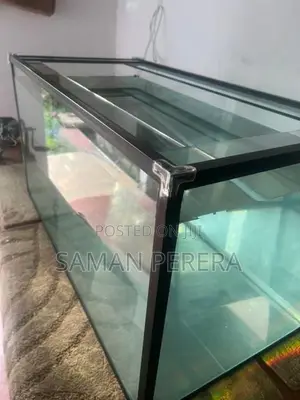 Glass Fish Tank