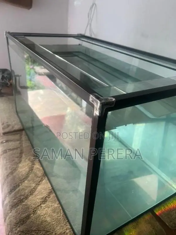 Glass Fish Tank