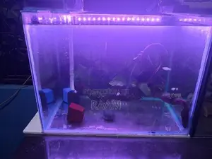 Aquarium Set