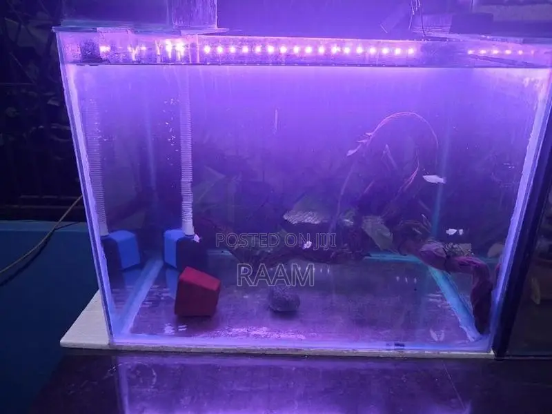Aquarium Set