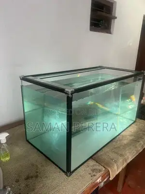 Glass Fish Tank