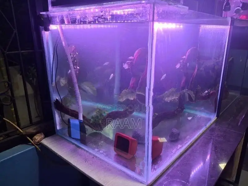 Aquarium Set