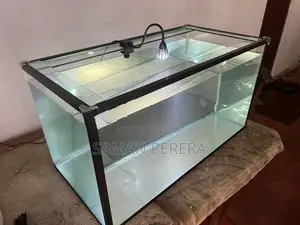 Glass Fish Tank