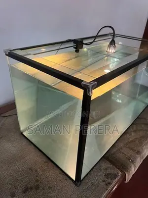 Glass Fish Tank