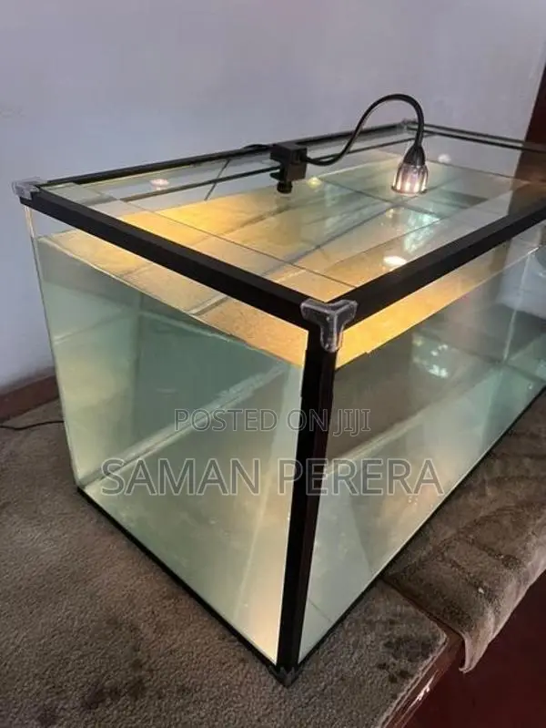 Glass Fish Tank